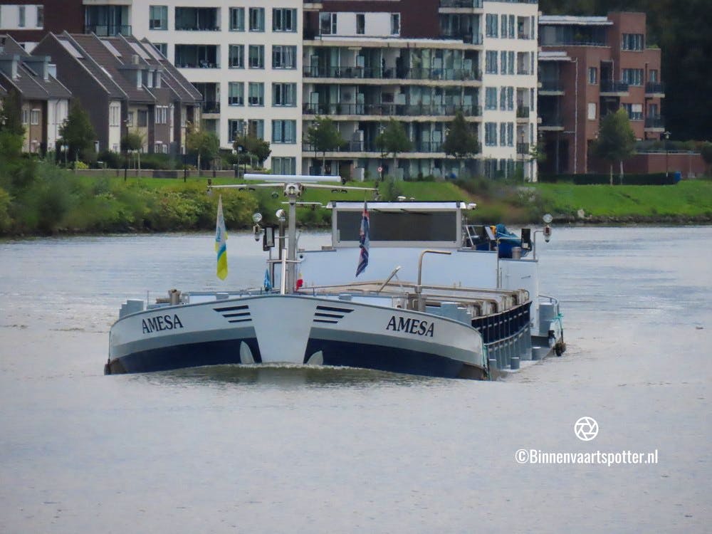 Amesa — thumbnail 4